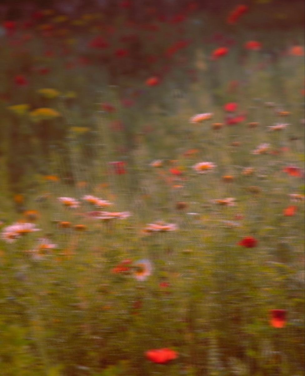 Blurry flowers representing feminine power